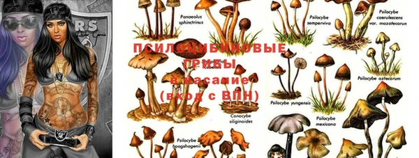 дурь Алексин